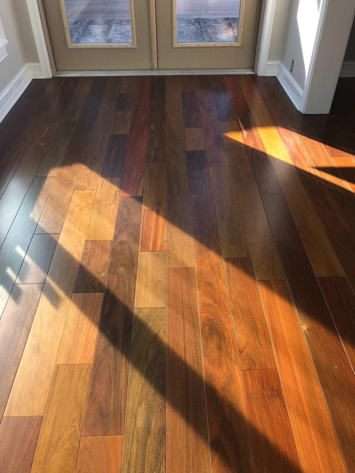 Brazilian hardwood clearance